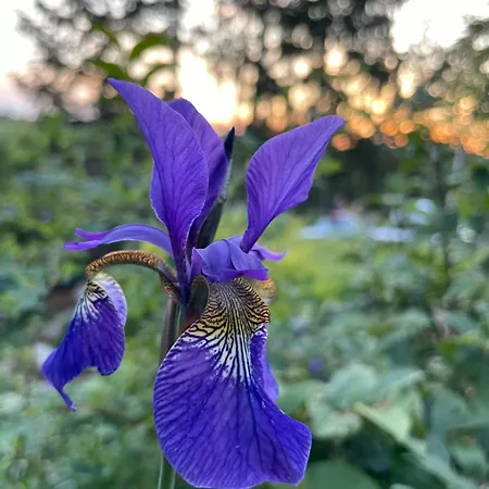 Lejlighed Sonnenschein Fulda