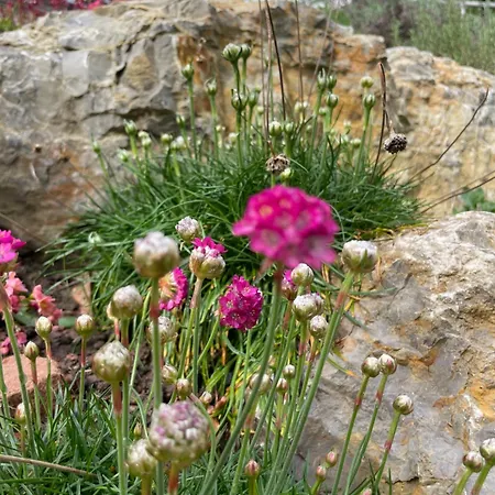 Sonnenschein Lejlighed *