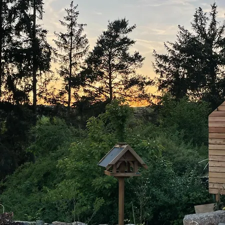 Sonnenschein *