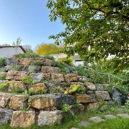 Sonnenschein * Fulda