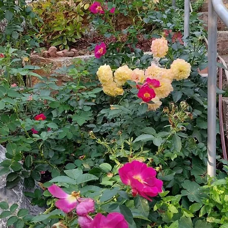 Lejlighed Sonnenschein