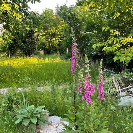 Sonnenschein Lejlighed Fulda