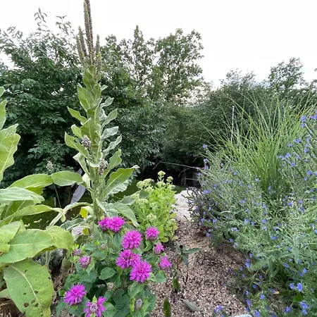 Lejlighed Sonnenschein *