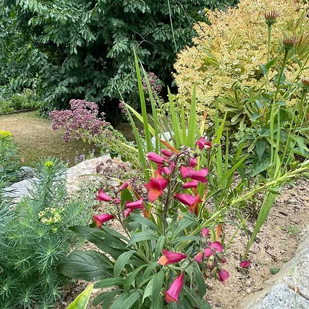 Sonnenschein Lejlighed *