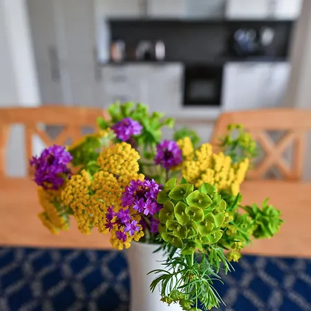 Sonnenschein Lejlighed *