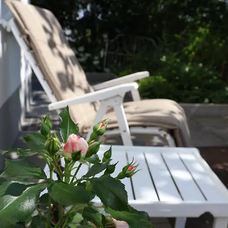 Sonnenschein Lejlighed