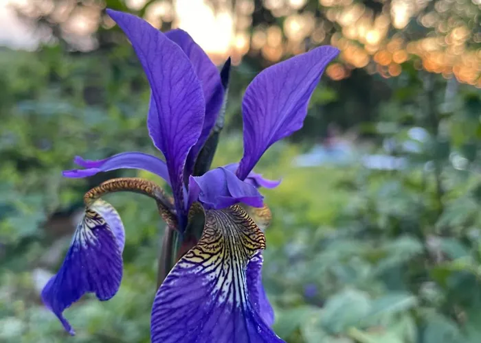 Apartament Sonnenschein Fulda