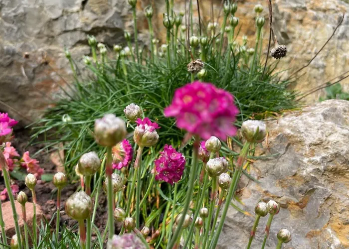 Sonnenschein Apartamento *