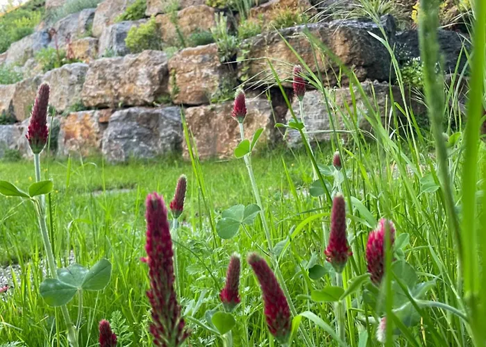 Apartamento Sonnenschein *