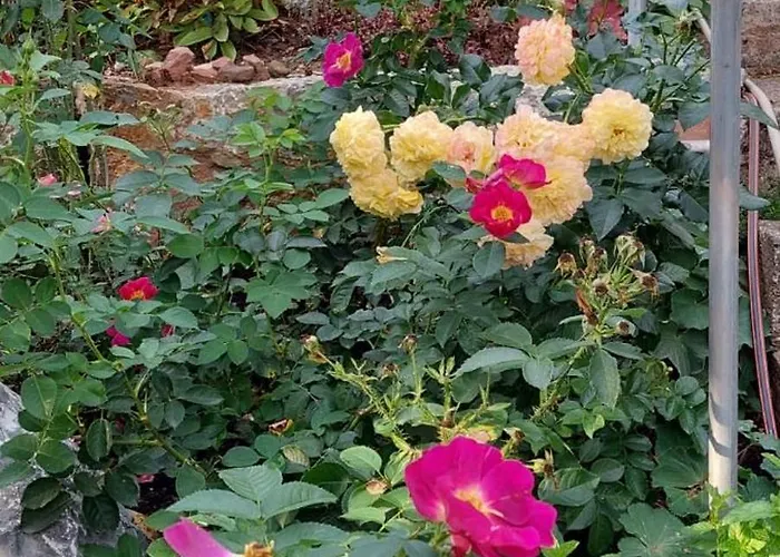 Apartament Sonnenschein