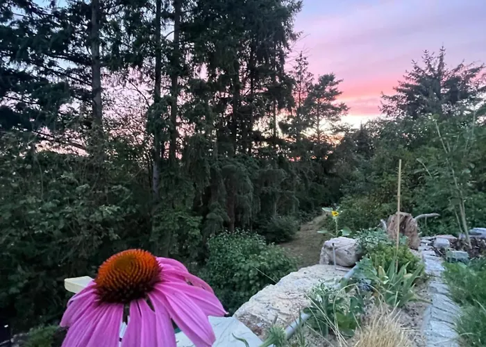 Sonnenschein Apartamento *