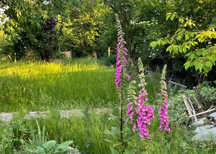 Sonnenschein Apartament Fulda