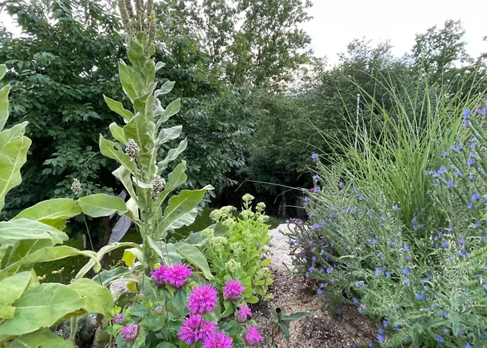 Apartamento Sonnenschein *