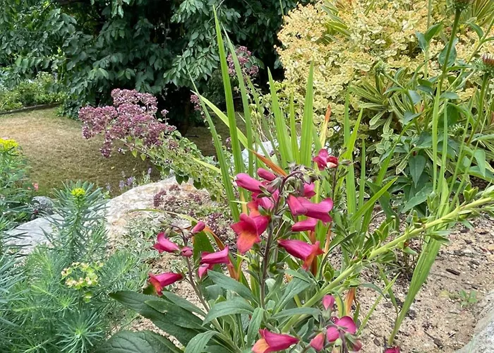 Sonnenschein Apartament *