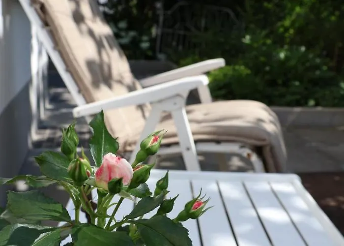 Sonnenschein Apartamento